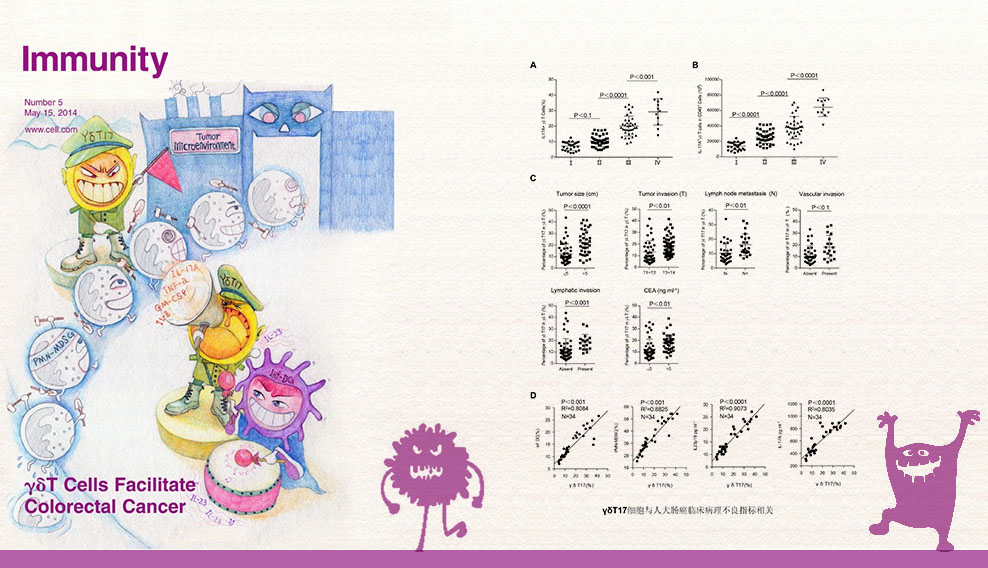 file.php?cmd=download&id=2842610