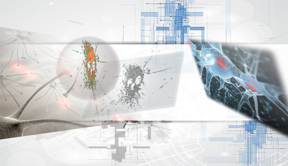 file.php?cmd=download&id=2876604