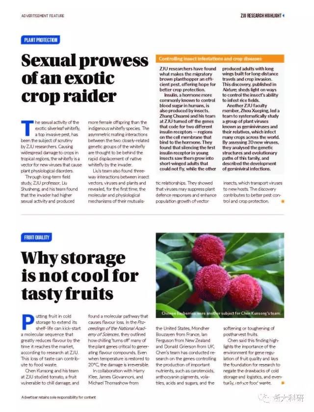 file.php?cmd=download&id=3090583