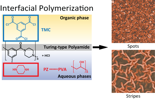 Scientists produce polyamide membranes with nanoscale Turing structures