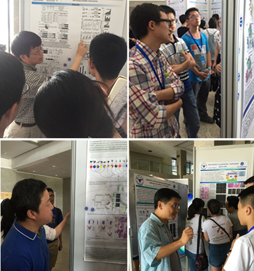 file.php?cmd=download&id=3029347