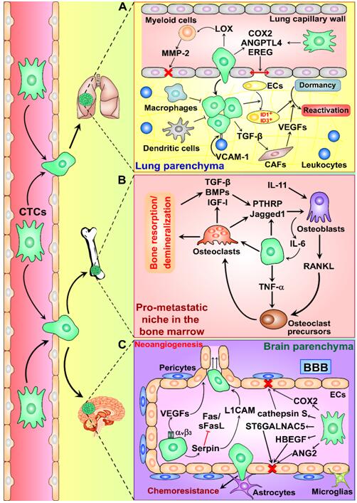 News-20170103.jpg News-20170103.jpg