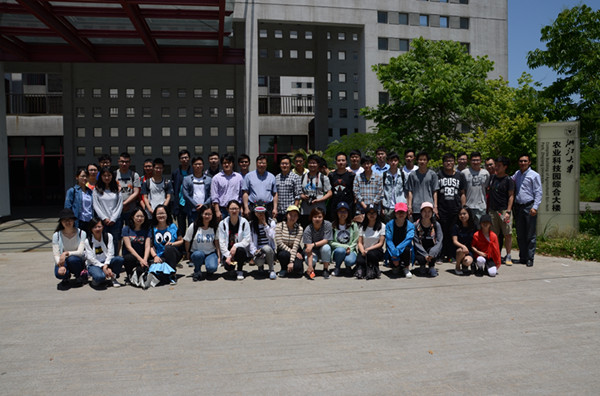 file.php?cmd=download&id=3107140