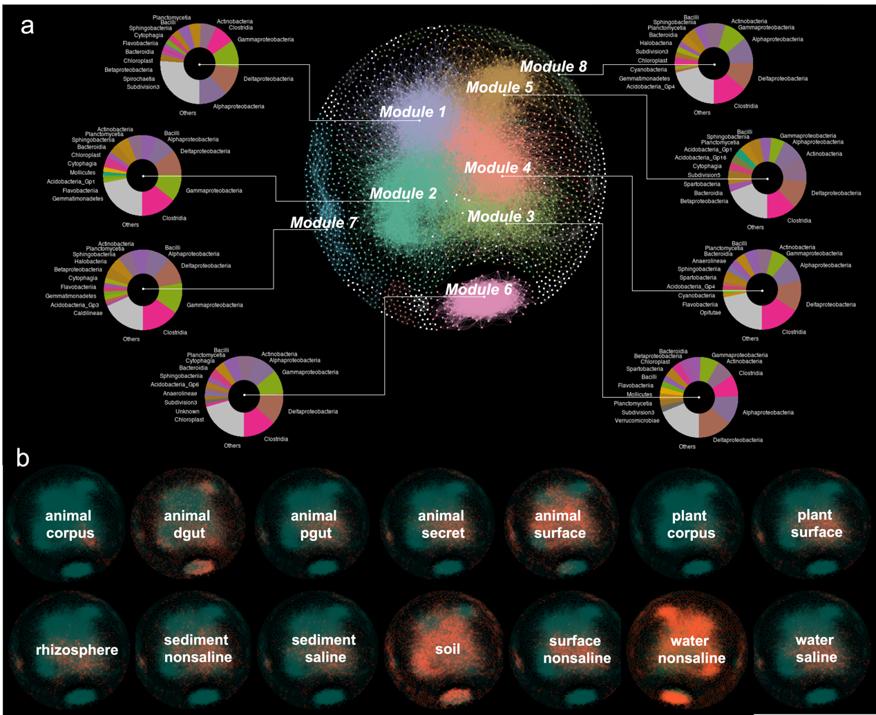 首个地球微生物"社会关系"网络在浙大绘制