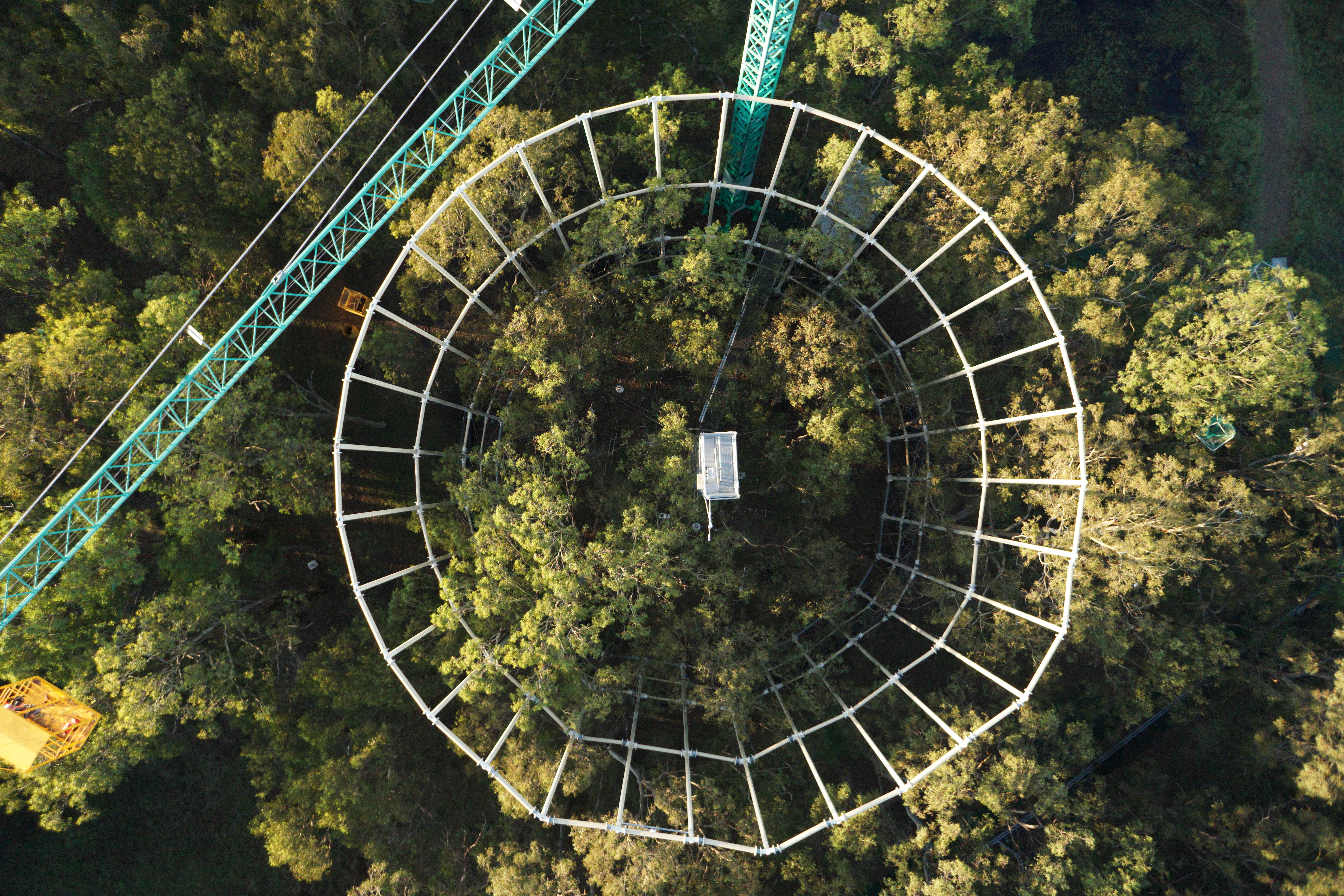 Forests need ph...