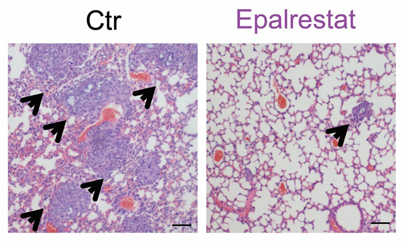 file.php?cmd=download&id=3091730 file.php?cmd=download&id=3091730