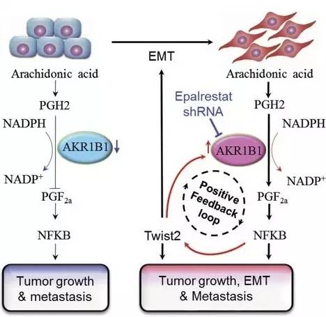 file.php?cmd=download&id=3091724
