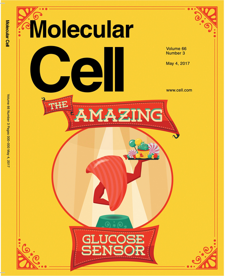 file.php?cmd=download&id=3103119 file.php?cmd=download&id=3103119