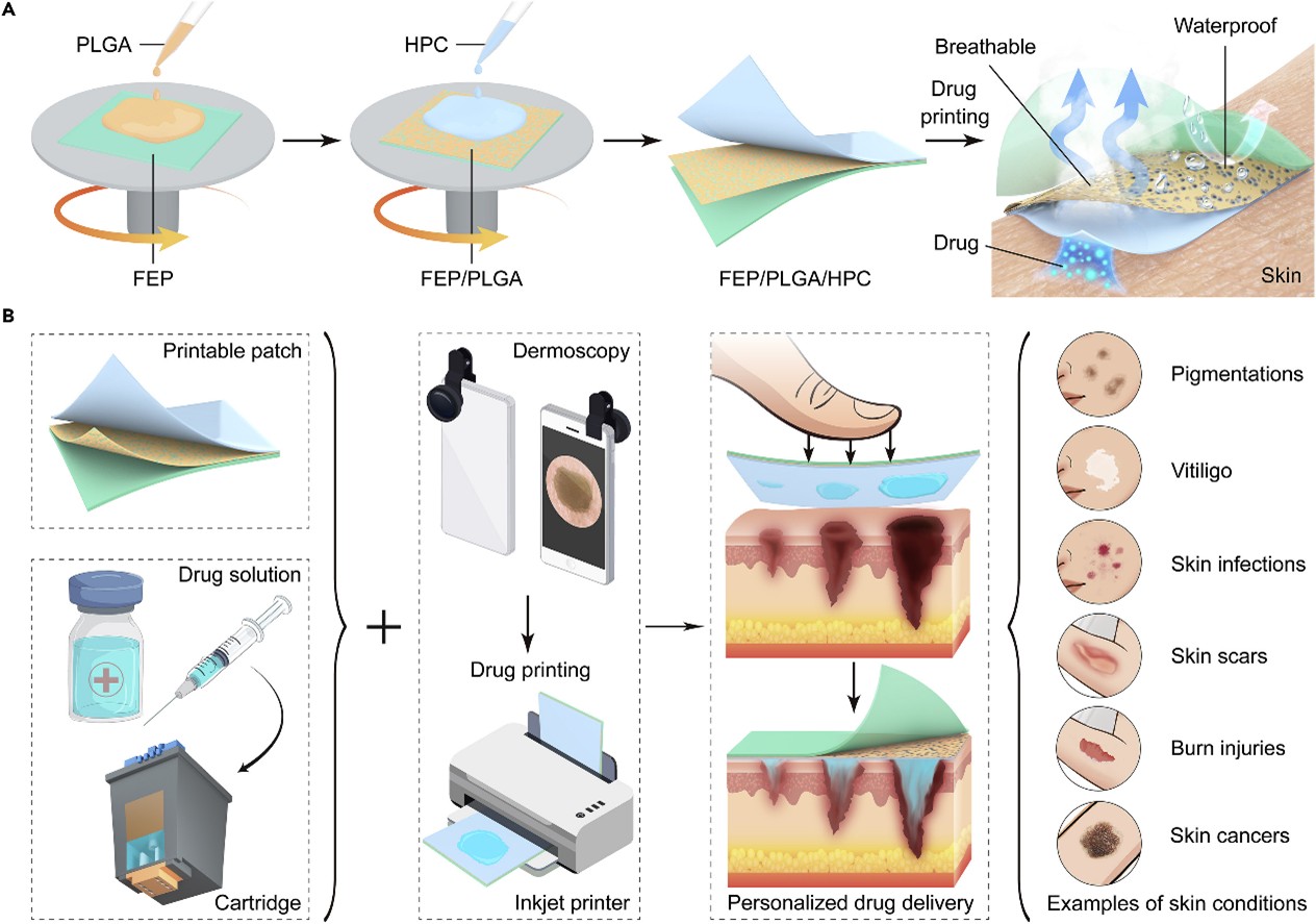 ZJU leads advances in intelligent drug delivery for precision medicine