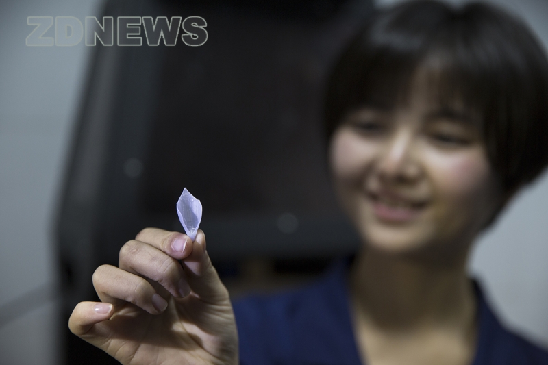 file.php?cmd=download&id=3078725