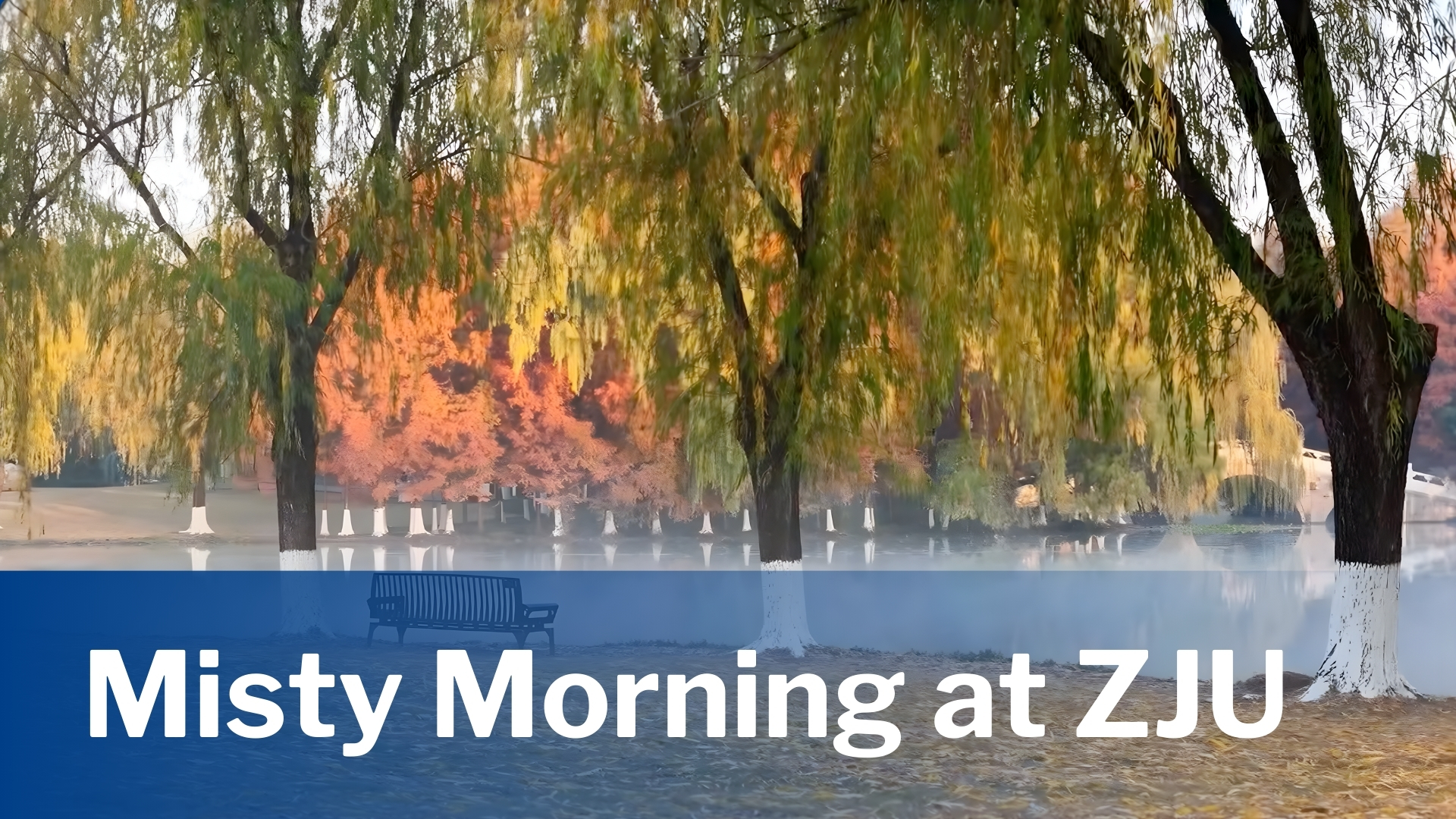Misty Morning a...