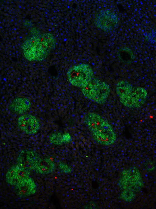 file.php?cmd=download&id=3088628 file.php?cmd=download&id=3088628