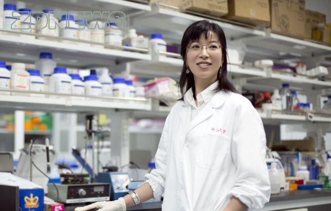 file.php?cmd=download&id=2996401