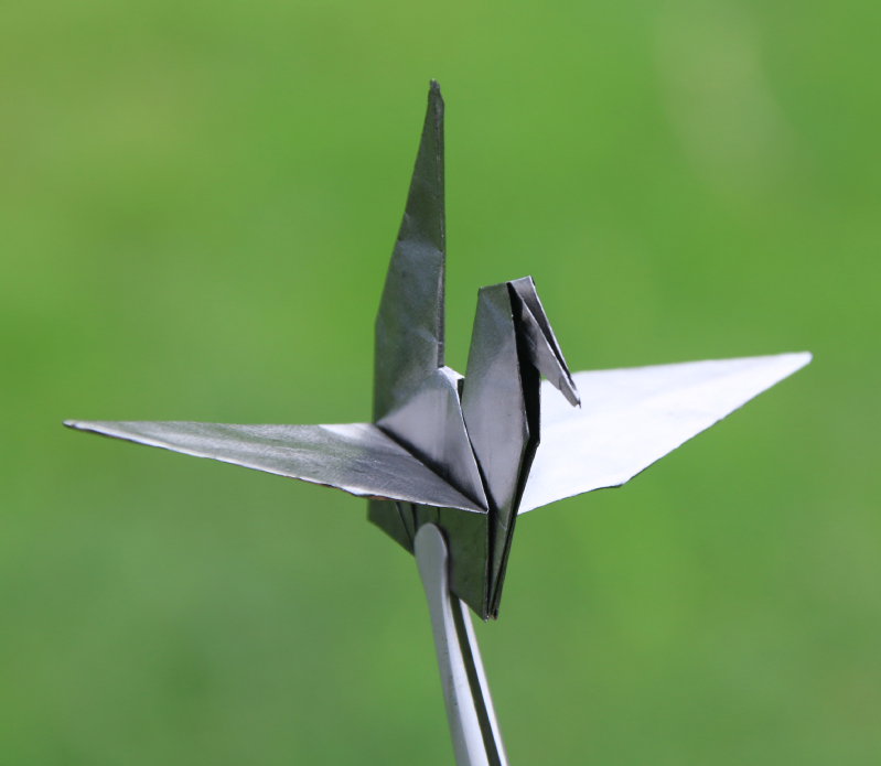 file.php?cmd=download&id=3111235 file.php?cmd=download&id=3111235