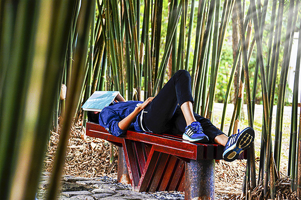 file.php?cmd=download&id=2726403