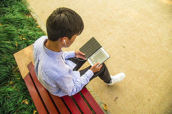 file.php?cmd=download&id=2726398