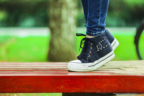 file.php?cmd=download&id=2726397