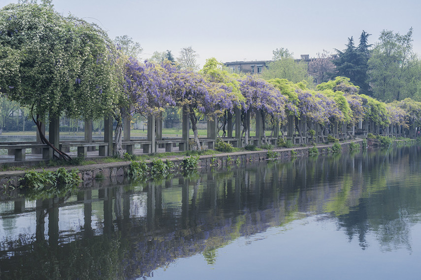 file.php?cmd=download&id=2725874