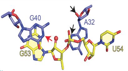 file.php?cmd=download&id=3029380